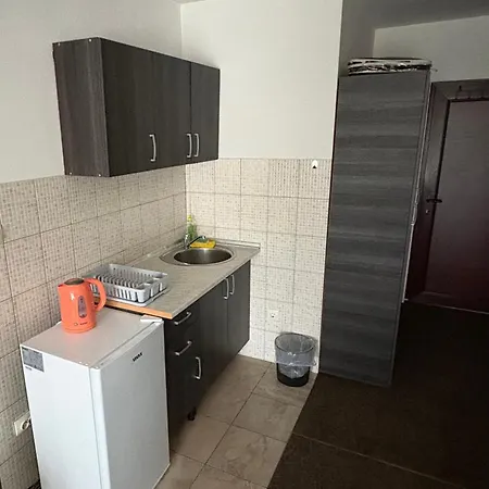 Avanti * زينيتشا